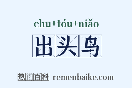 出头鸟是什么意思的图片